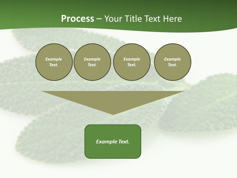 Food Salvia Herb PowerPoint Template