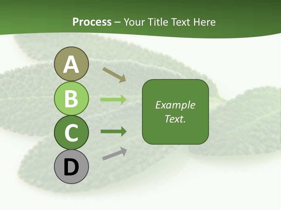 Food Salvia Herb PowerPoint Template