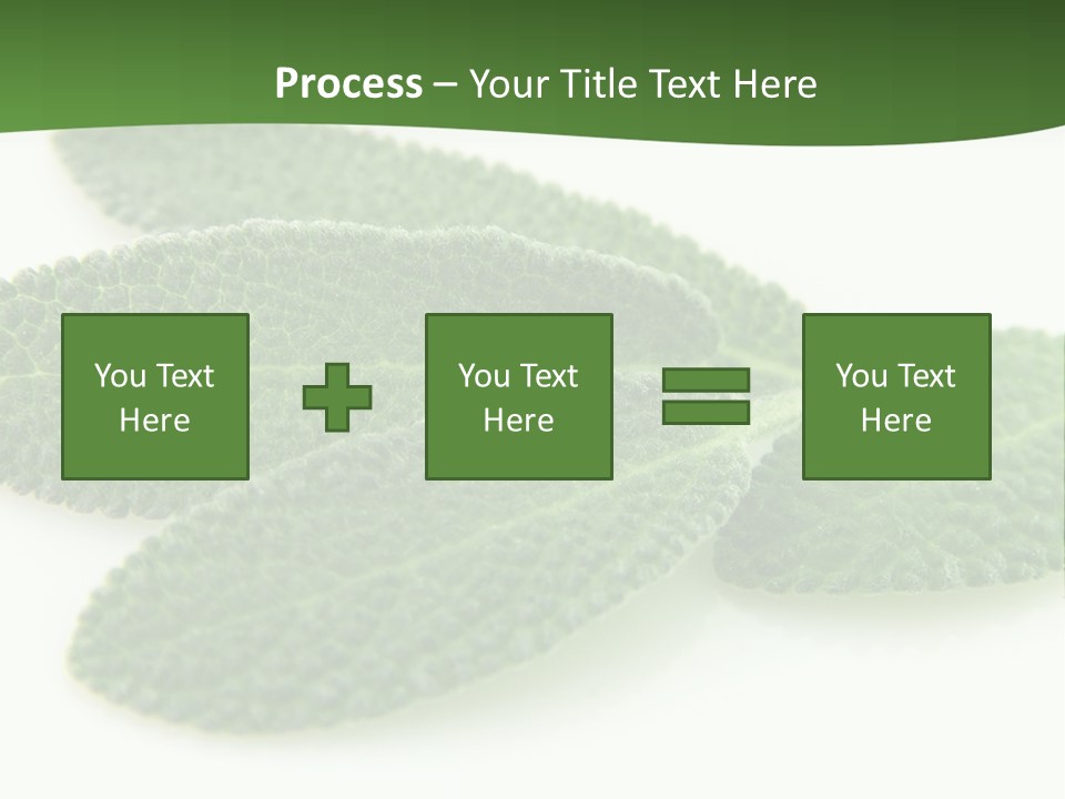 Food Salvia Herb PowerPoint Template