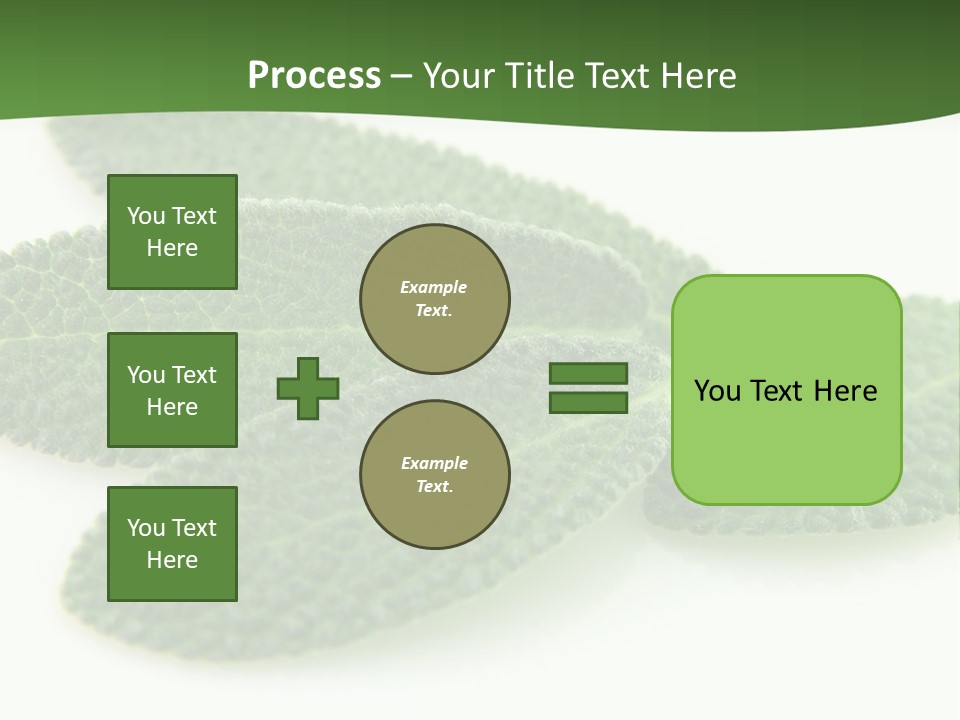 Food Salvia Herb PowerPoint Template