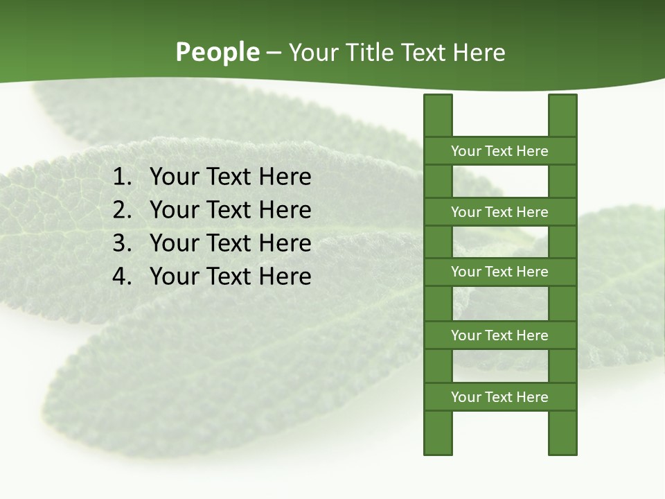 Food Salvia Herb PowerPoint Template