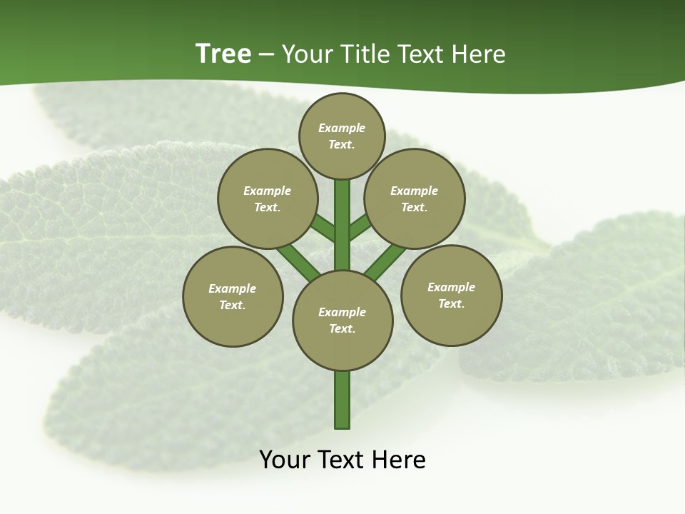 Food Salvia Herb PowerPoint Template