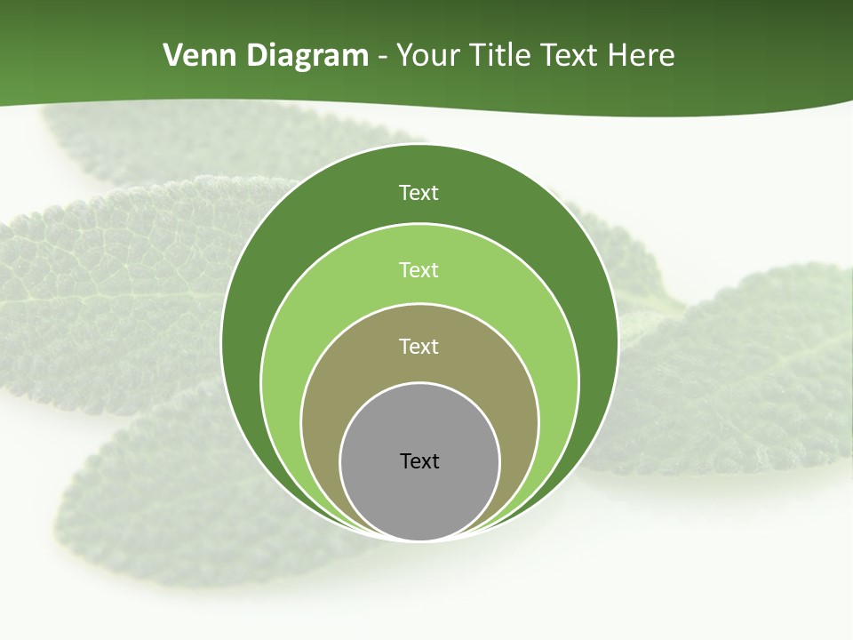 Food Salvia Herb PowerPoint Template