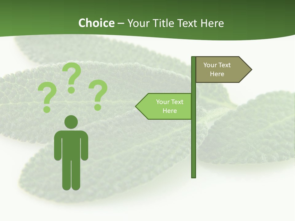 Food Salvia Herb PowerPoint Template