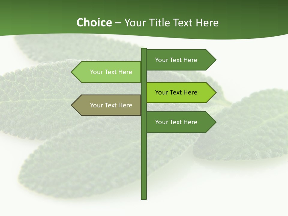 Food Salvia Herb PowerPoint Template