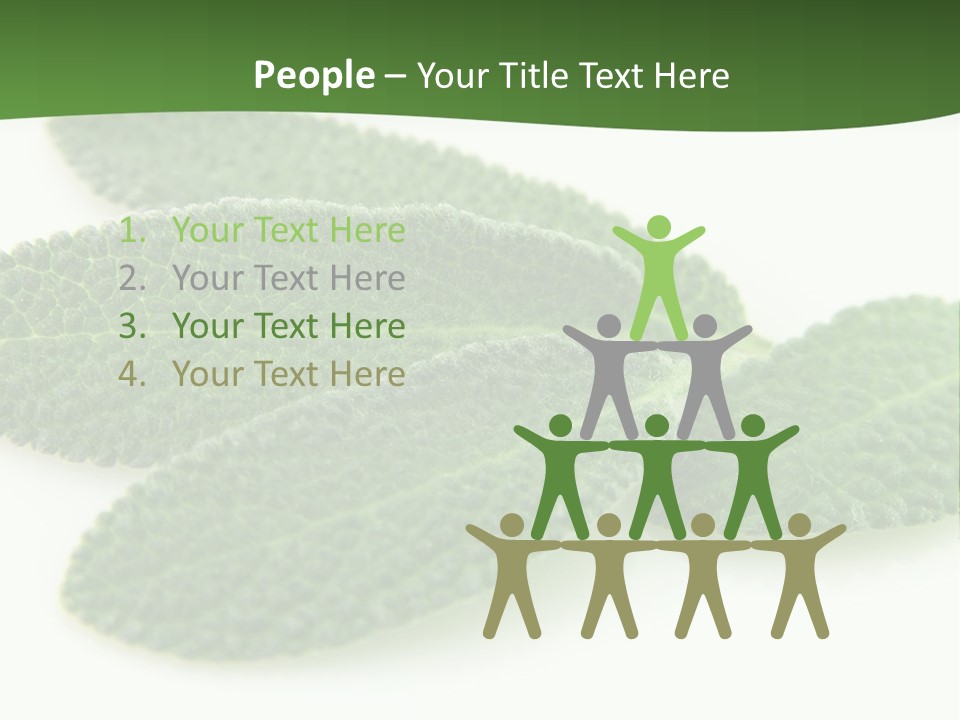 Food Salvia Herb PowerPoint Template