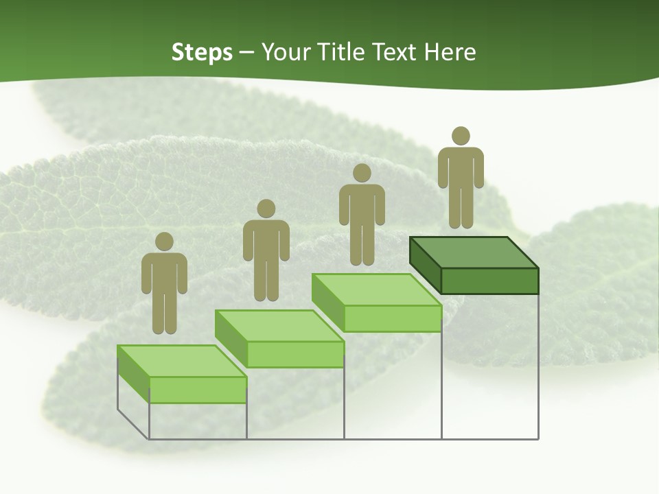 Food Salvia Herb PowerPoint Template