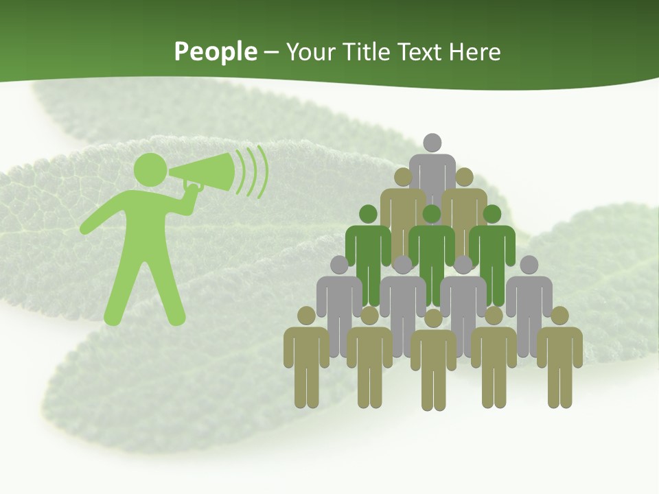 Food Salvia Herb PowerPoint Template