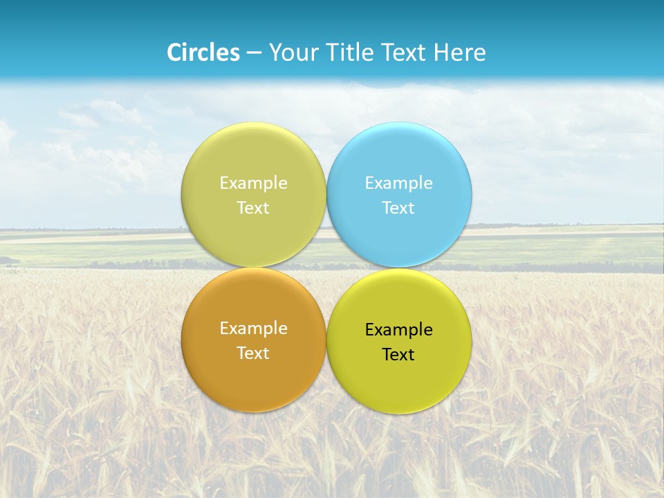 Sky Cultivate Summer PowerPoint Template