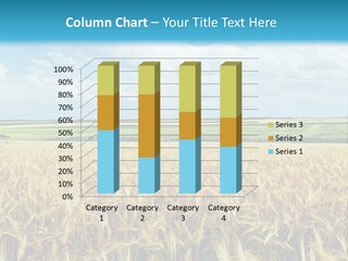 Sky Cultivate Summer PowerPoint Template