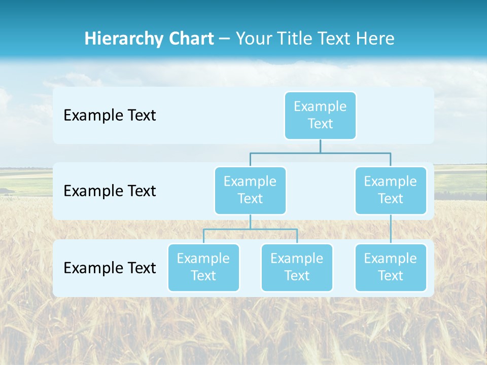 Sky Cultivate Summer PowerPoint Template