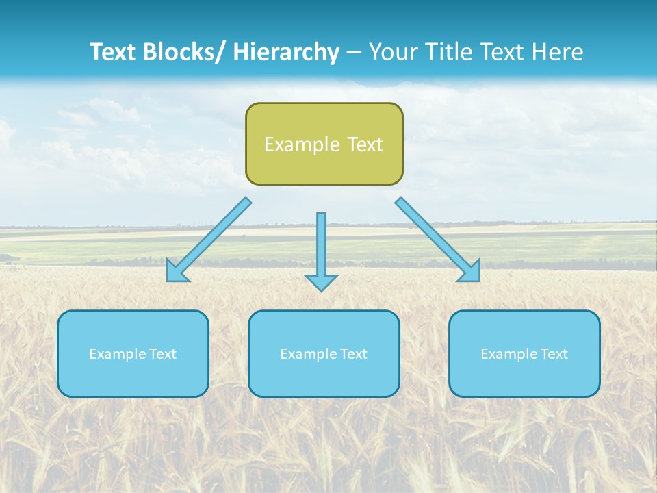 Sky Cultivate Summer PowerPoint Template
