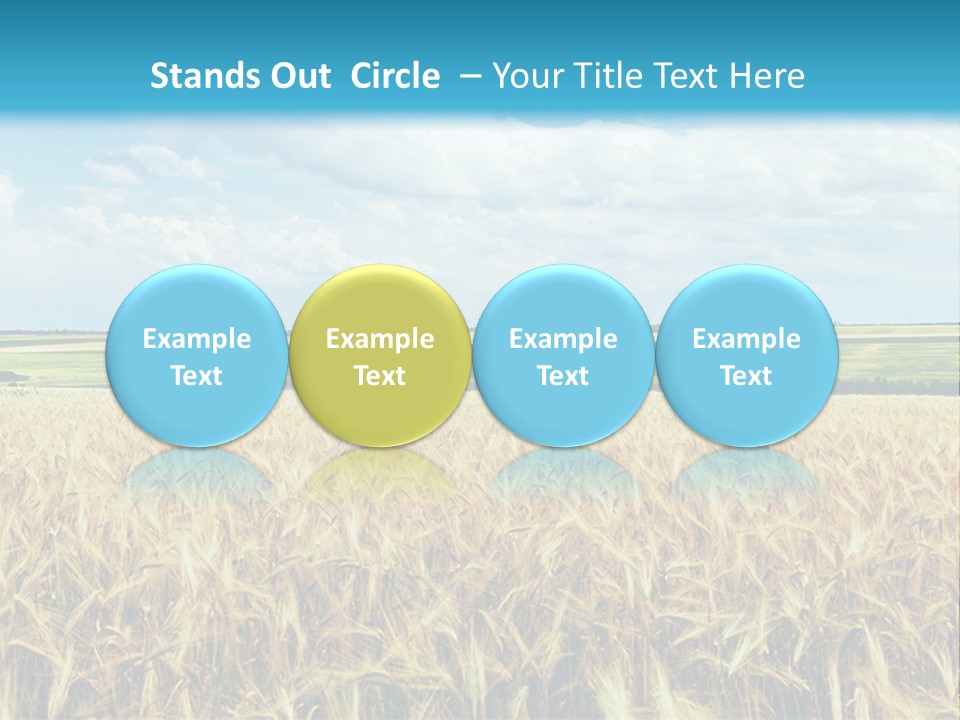 Sky Cultivate Summer PowerPoint Template