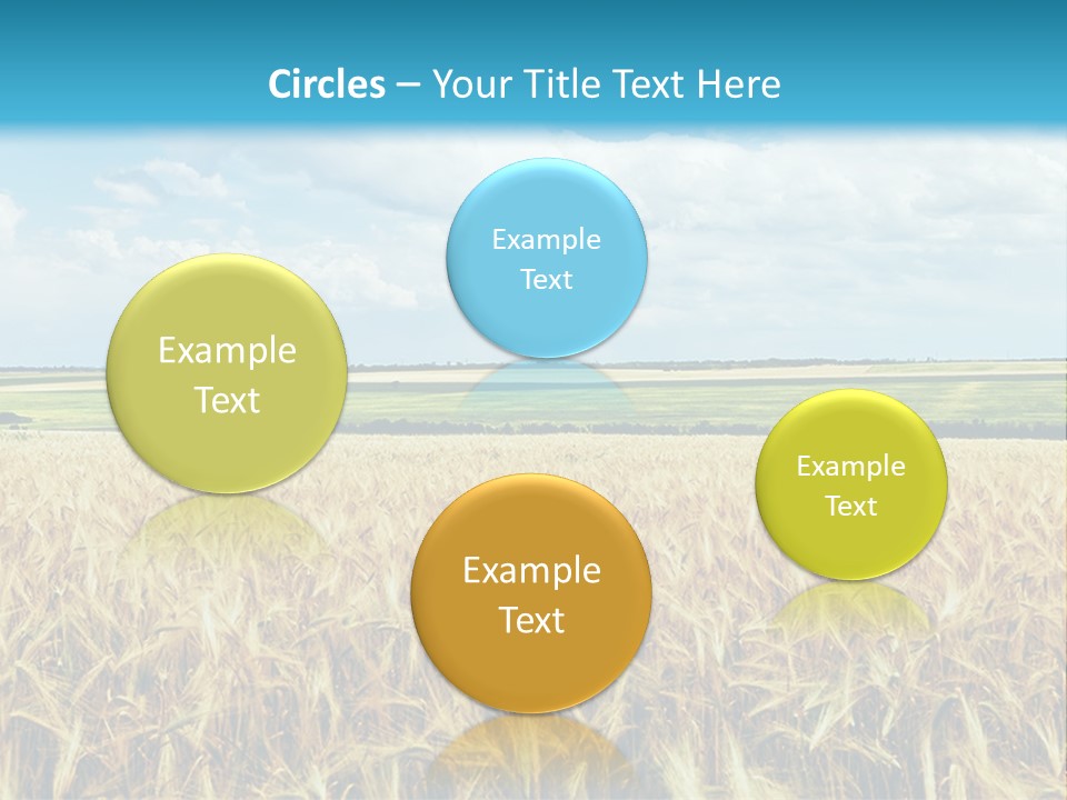 Sky Cultivate Summer PowerPoint Template