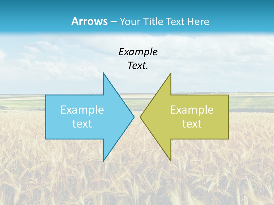 Sky Cultivate Summer PowerPoint Template