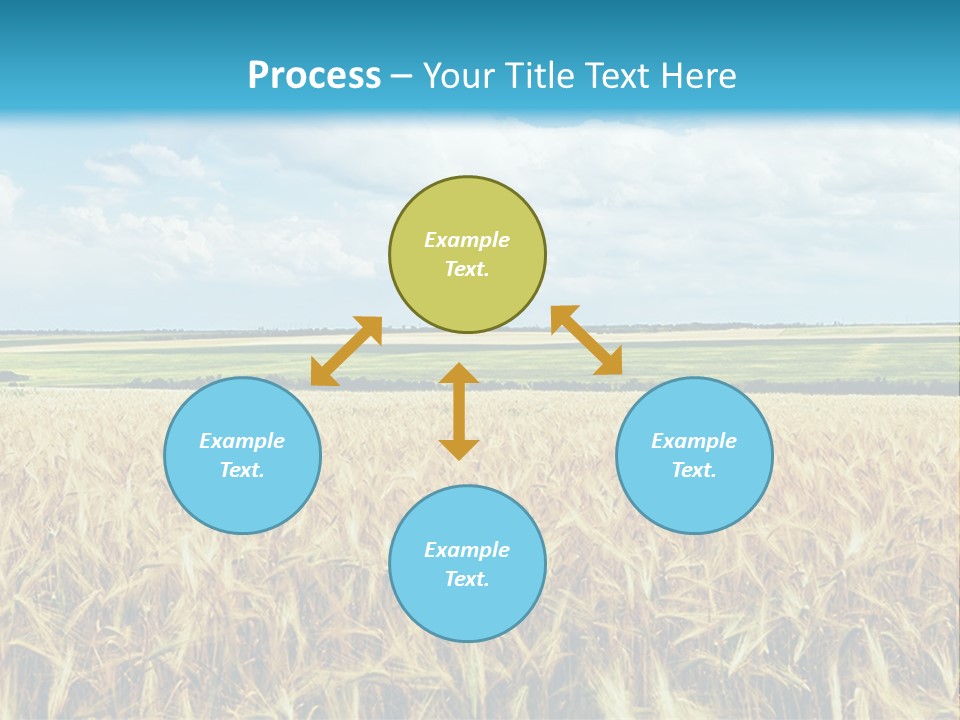 Sky Cultivate Summer PowerPoint Template