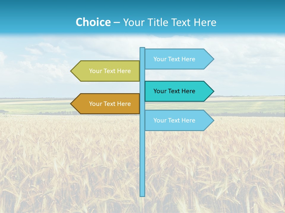 Sky Cultivate Summer PowerPoint Template