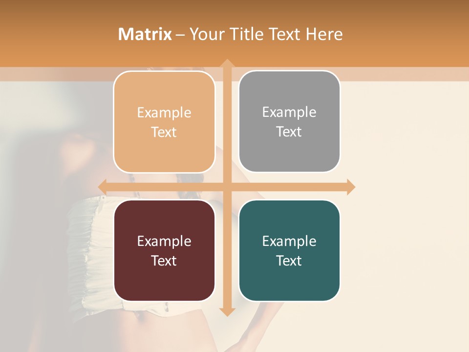 Feathers  Fashion PowerPoint Template