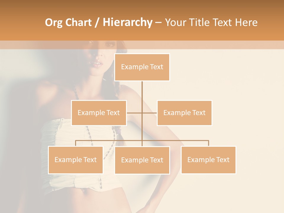 Feathers  Fashion PowerPoint Template