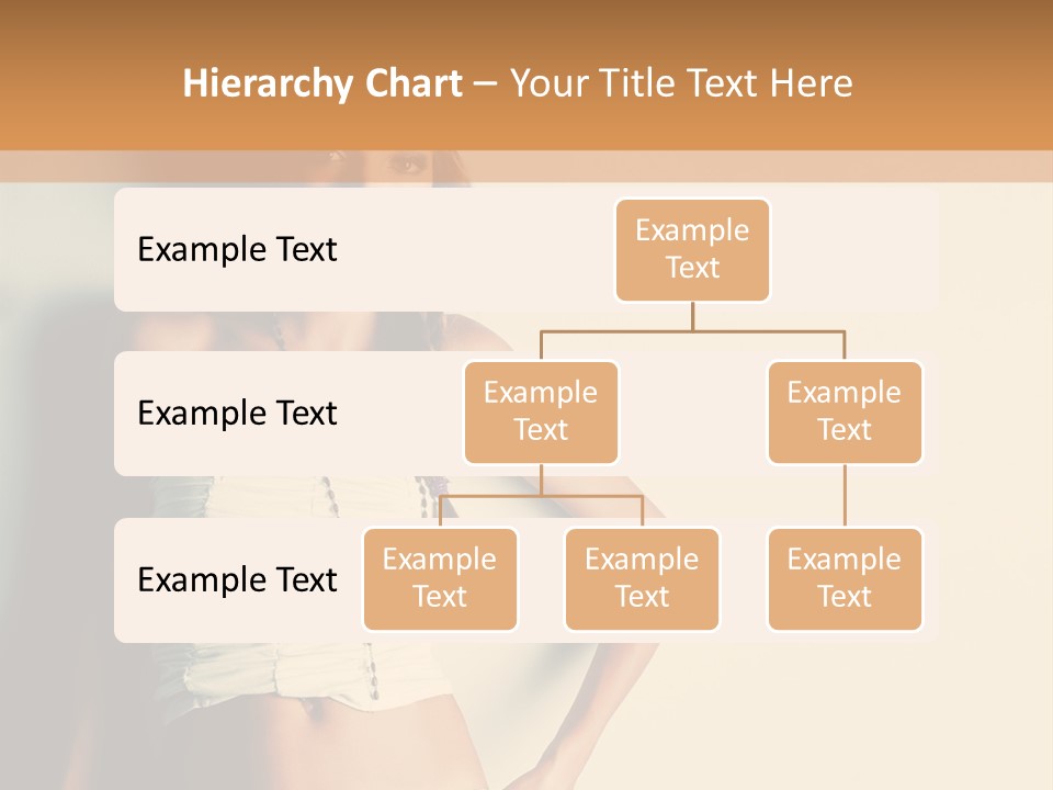Feathers  Fashion PowerPoint Template