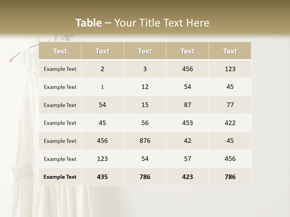Clothing Creative Wall PowerPoint Template