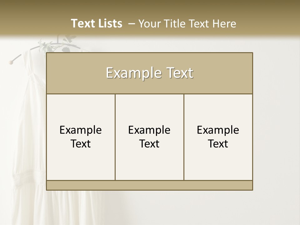 Clothing Creative Wall PowerPoint Template