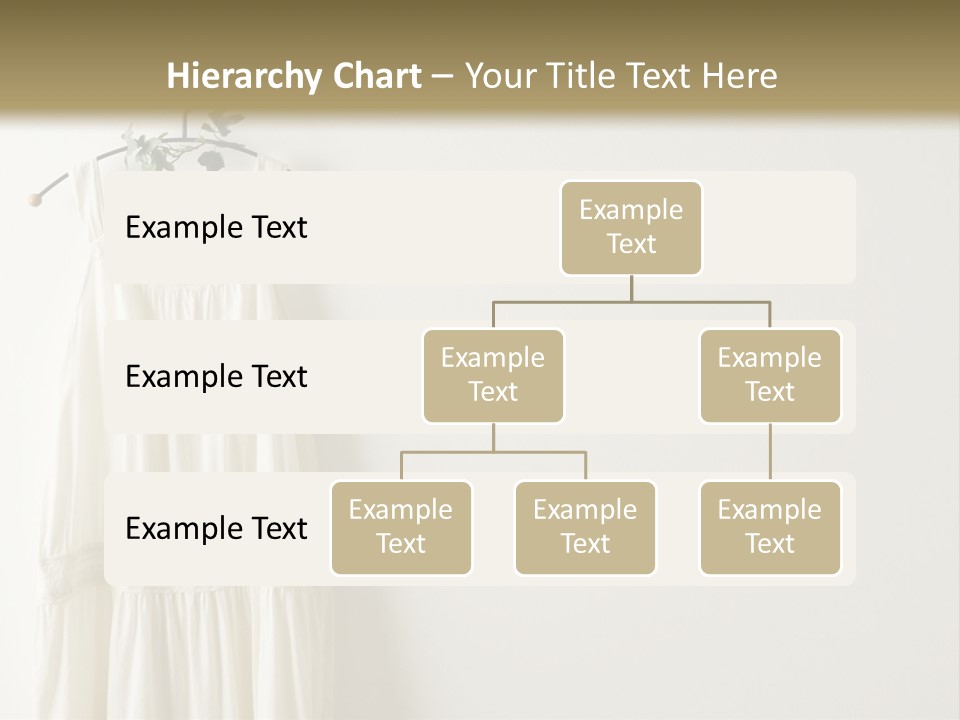 Clothing Creative Wall PowerPoint Template