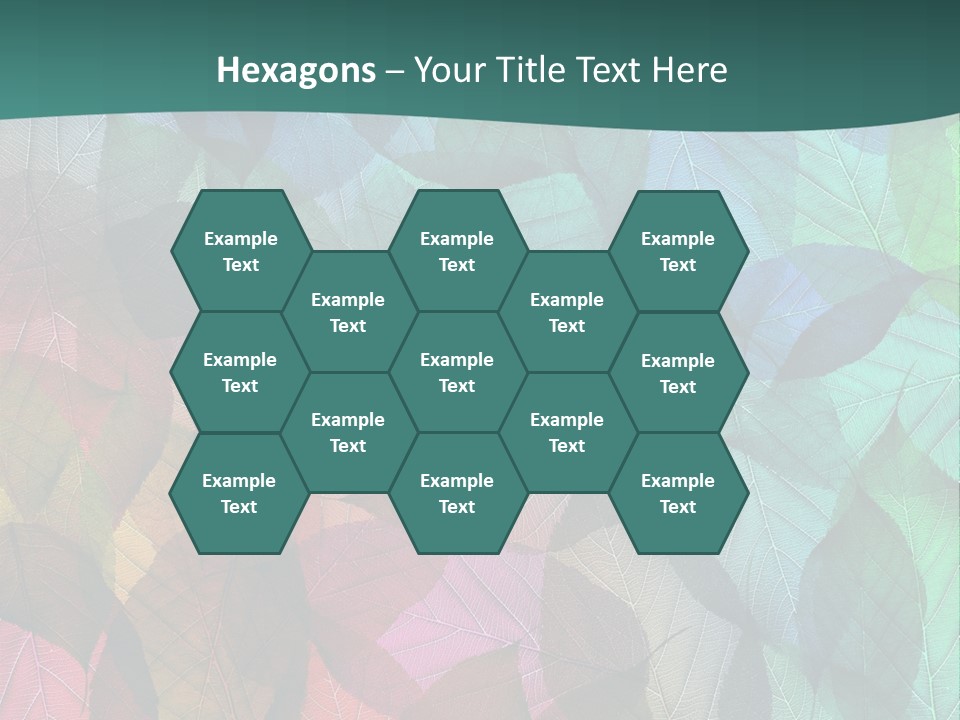 Casting Brook Hen PowerPoint Template