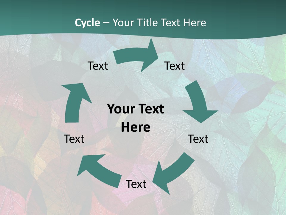 Casting Brook Hen PowerPoint Template