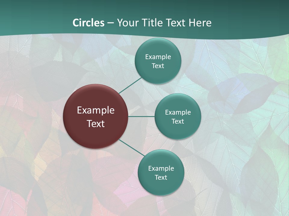 Casting Brook Hen PowerPoint Template