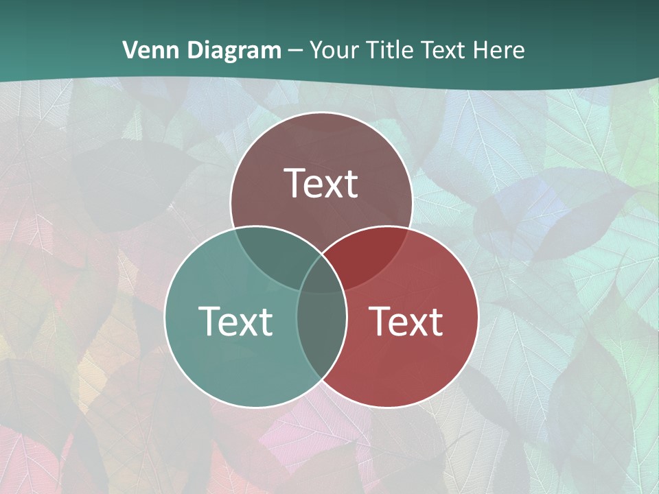 Casting Brook Hen PowerPoint Template