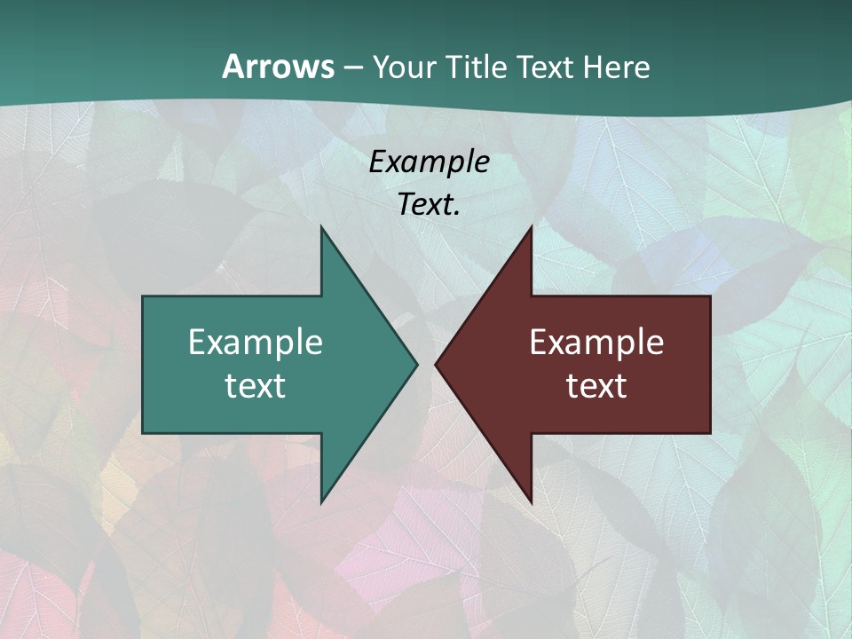 Casting Brook Hen PowerPoint Template