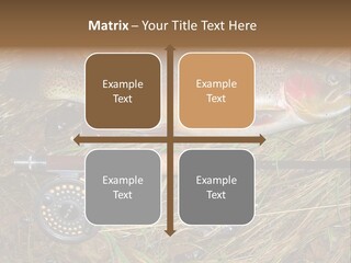 A Fish On The Ground Next To A Fishing Rod PowerPoint Template