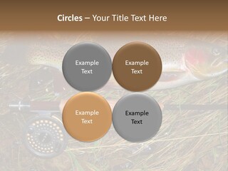 A Fish On The Ground Next To A Fishing Rod PowerPoint Template