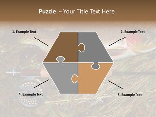 A Fish On The Ground Next To A Fishing Rod PowerPoint Template