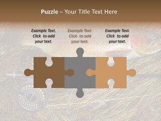 A Fish On The Ground Next To A Fishing Rod PowerPoint Template