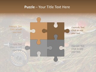 A Fish On The Ground Next To A Fishing Rod PowerPoint Template