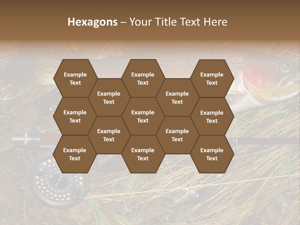 A Fish On The Ground Next To A Fishing Rod PowerPoint Template