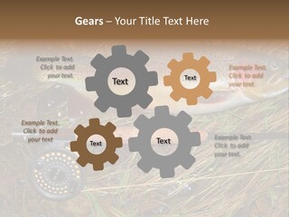 A Fish On The Ground Next To A Fishing Rod PowerPoint Template