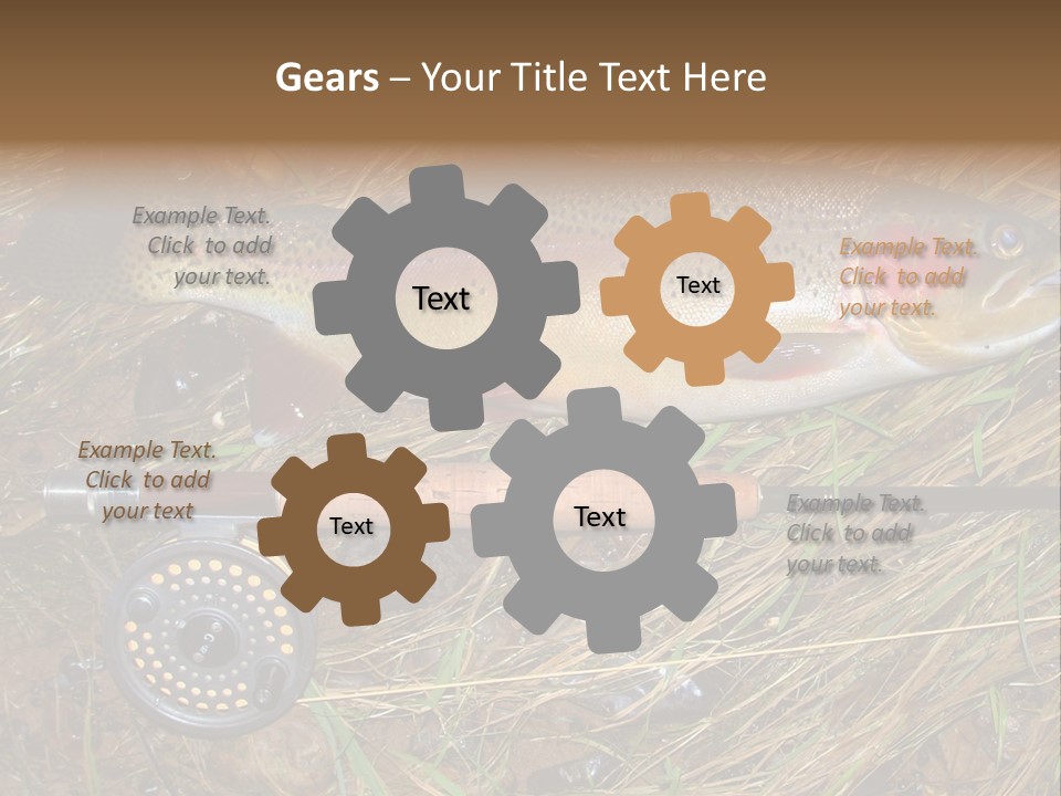 A Fish On The Ground Next To A Fishing Rod PowerPoint Template