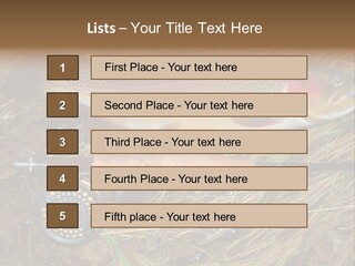 A Fish On The Ground Next To A Fishing Rod PowerPoint Template