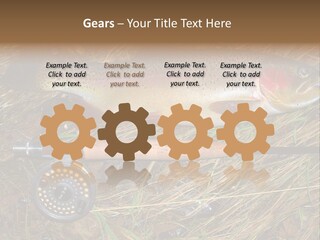 A Fish On The Ground Next To A Fishing Rod PowerPoint Template