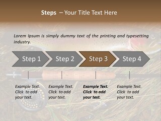 A Fish On The Ground Next To A Fishing Rod PowerPoint Template