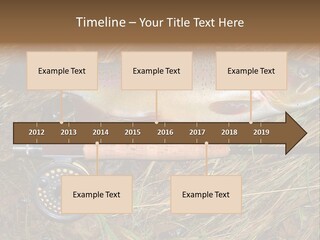 A Fish On The Ground Next To A Fishing Rod PowerPoint Template