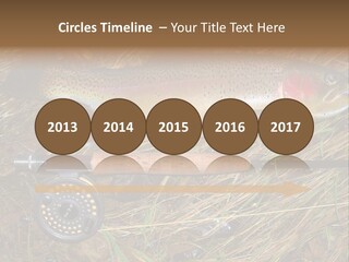 A Fish On The Ground Next To A Fishing Rod PowerPoint Template