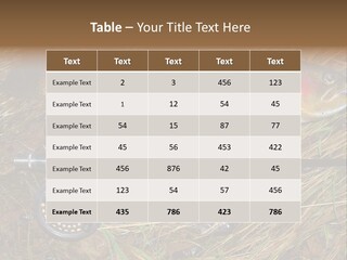 A Fish On The Ground Next To A Fishing Rod PowerPoint Template