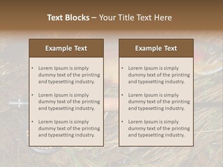 A Fish On The Ground Next To A Fishing Rod PowerPoint Template