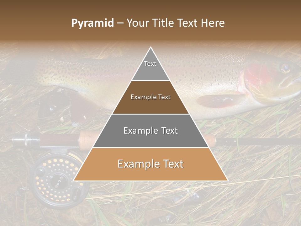 A Fish On The Ground Next To A Fishing Rod PowerPoint Template