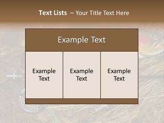 A Fish On The Ground Next To A Fishing Rod PowerPoint Template