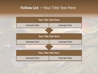 A Fish On The Ground Next To A Fishing Rod PowerPoint Template